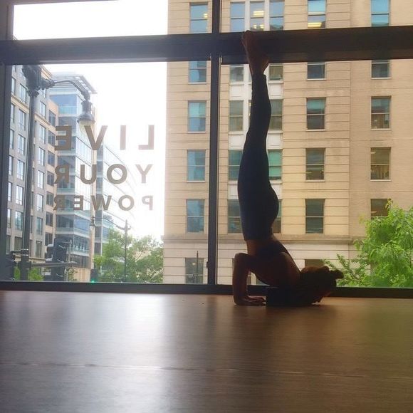 Meet your Posher, Tara - Picture 1 of 1